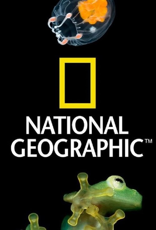 National Geographic, reviewed on Raise Wildflowers