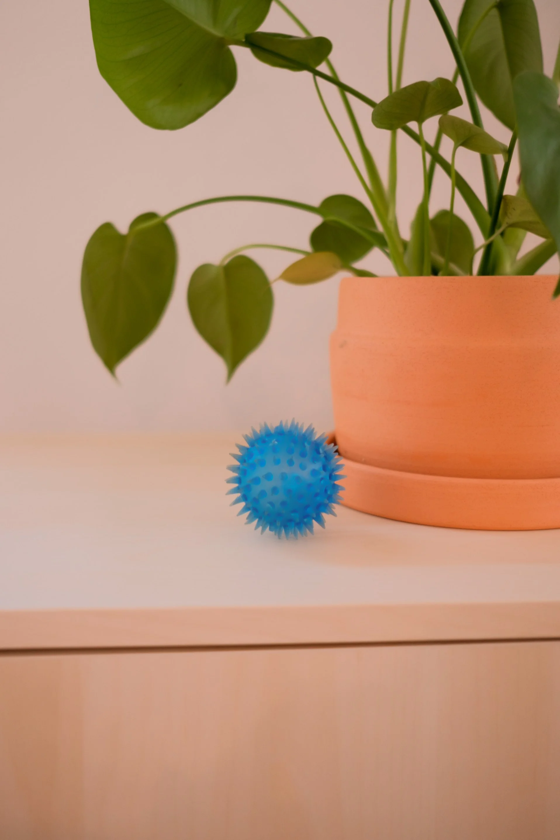 Spiky Sensory Ball, an open-ended toy on Raise Wildflowers